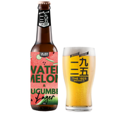 Watermelon cucumber lager